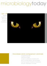 Cover of Microbiology Today, issue of November 2009