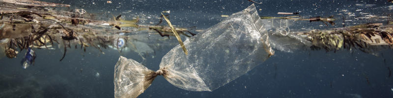 Plastic bag drifting over coral reef underwater