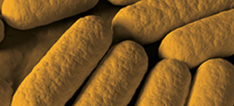 new-microbes.jpg