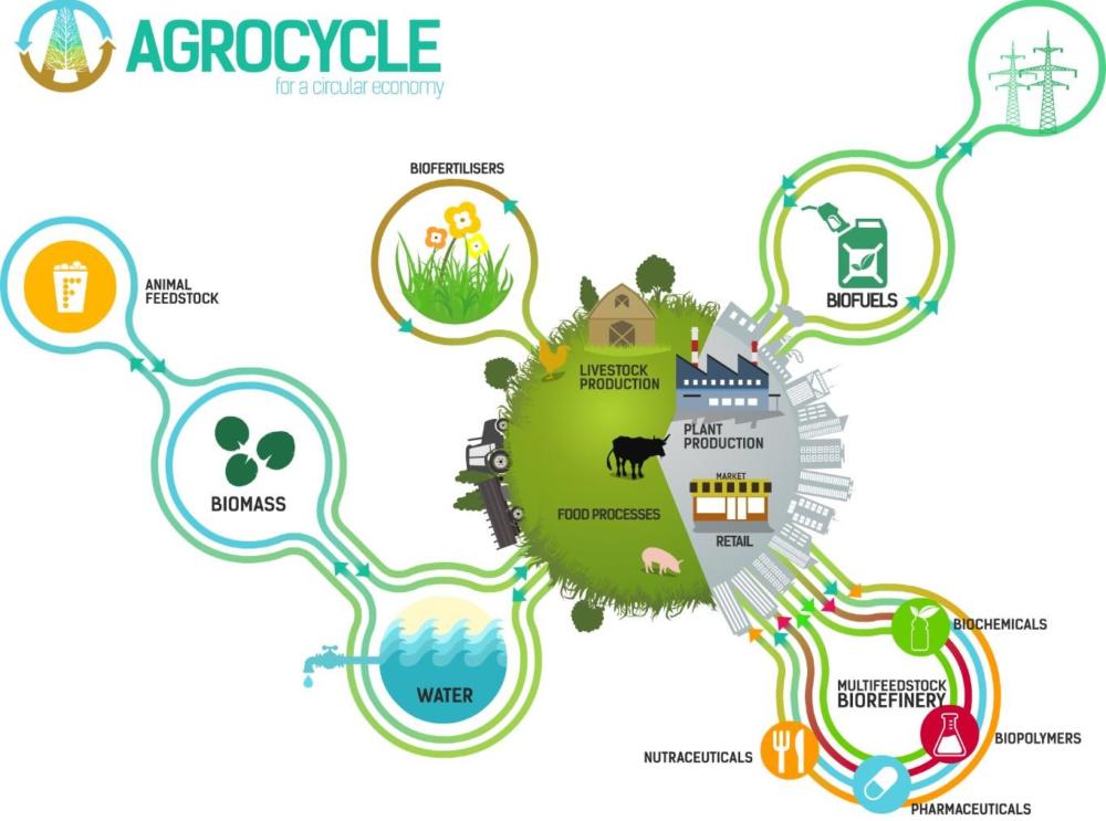 agrocycle-main.jpg 1