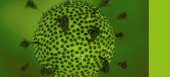 Branding used for Journal of General Virology Editorial Board