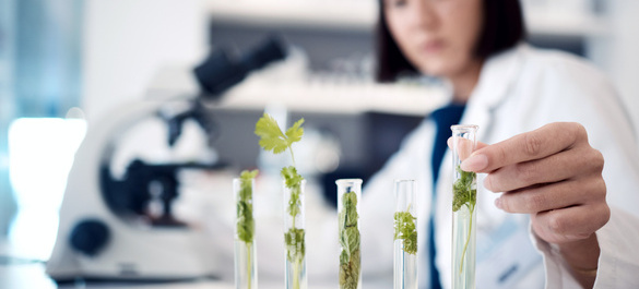 5 test-tubes filled with plants, with a laboratorist and a microscope in the background.