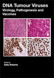 DNA Tumor Viruses: Virology, Pathogenesis and Vaccines cover