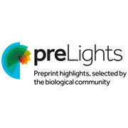 preLights Logo