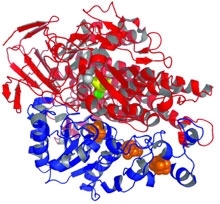 MT Nov 2013 Biohydrogen molecule