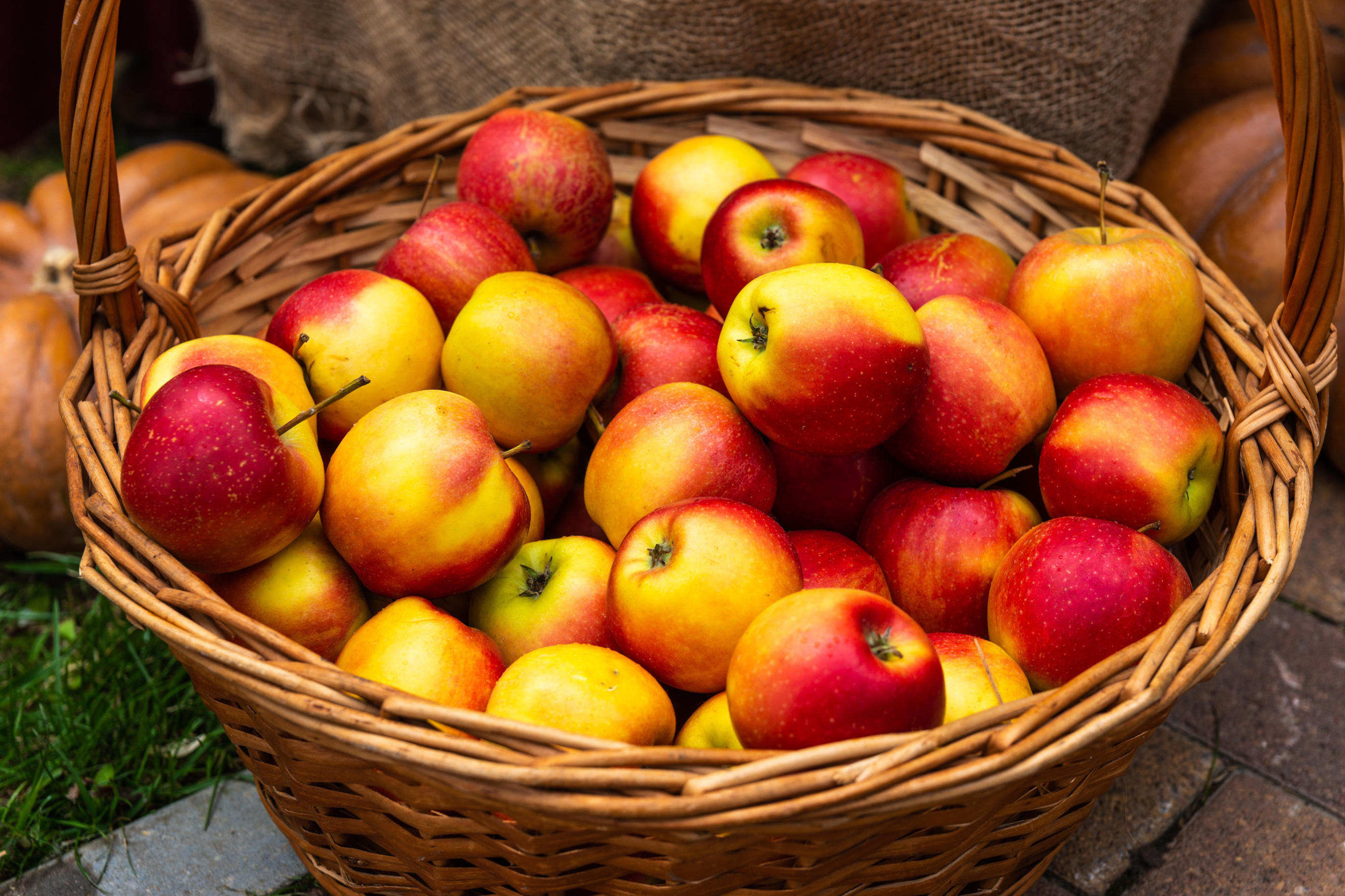 apples in a basket.jpg