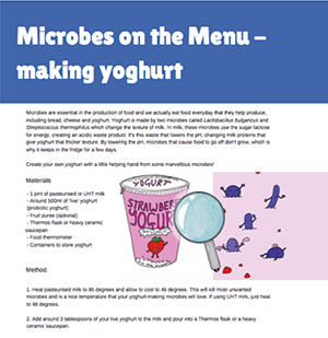 MT-Aug-17-schoolzone-yoghurt.jpg