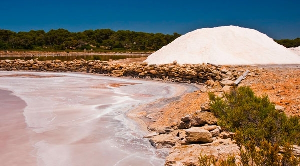 MT Feb 2014 Salinas-de-SAvall