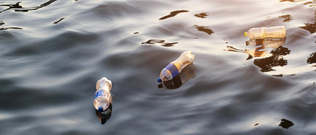 Plastic bottles.jpg