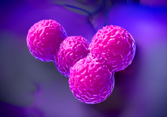 mrsa-staphylococcus-aureus.jpg