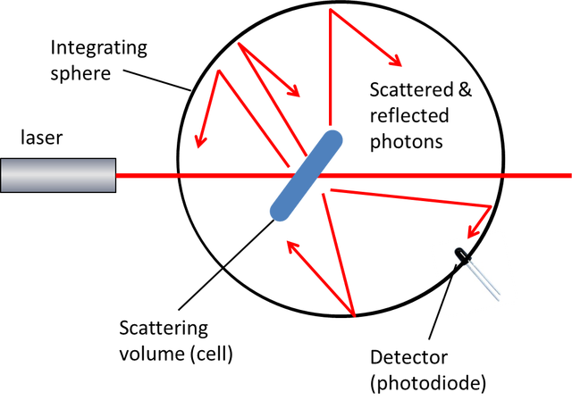 static-light-scattering-with-sphere-schema.png