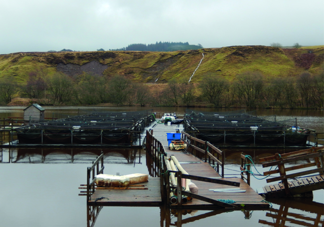 MT Nov 2014 aquaculture salmon cages