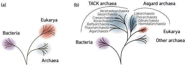 MT-Aug-17-symbiosis-fig2.jpg