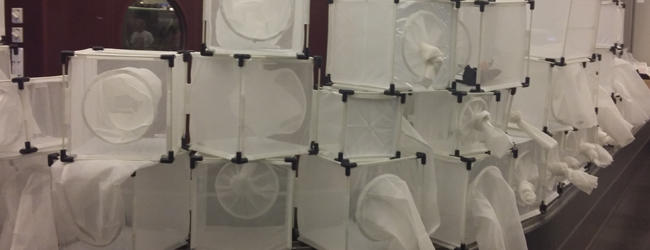 Mosquito rearing cages.