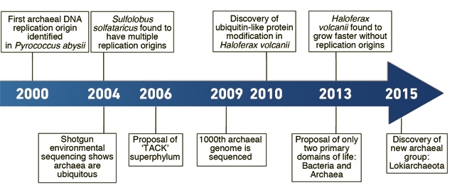 Archaea and the meaning of life