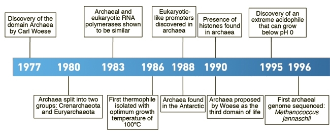 MT May 16 meaning of life timeline1