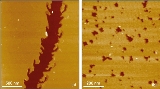 MT Aug 16 nanoscale fig3