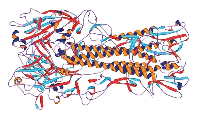 MT May 2014 spanish flu h1 antigen molecular model