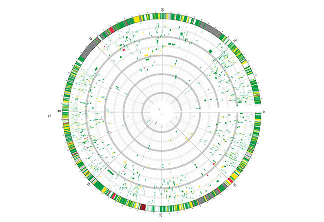 MT-Nov-17-genome-editing-genetic-map.jpg