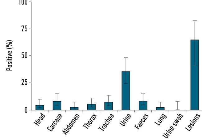 MT Aug 2014 Comment Fig 2