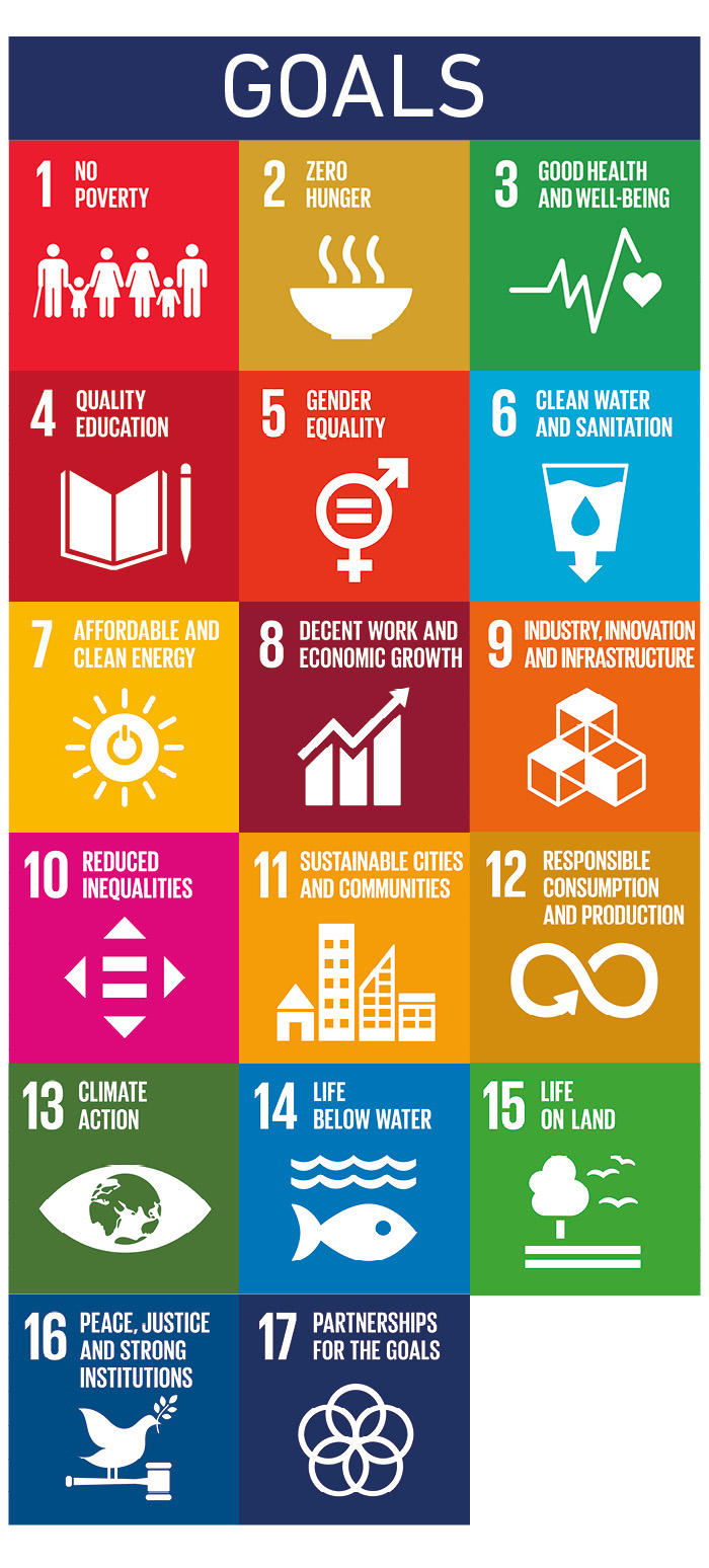 SDG Goals.jpg