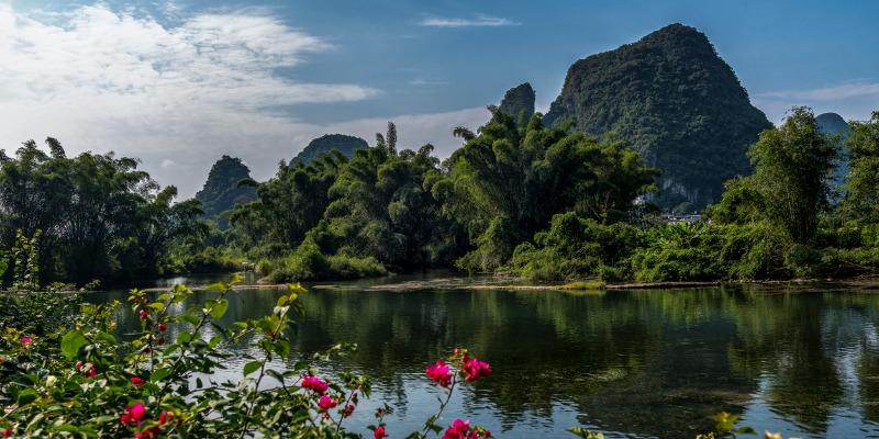 flowers-by-the-li-river-picture-id1083237412.jpg