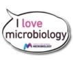 MT Nov 2014 I love microbiology