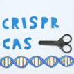 CRISPR-Cas-.1.gif