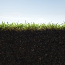Small World Initiative soil grass