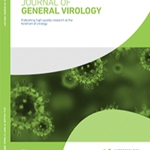 JGV cover