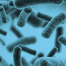 Microbiology-news.jpg