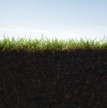 Small World Initiative soil grass