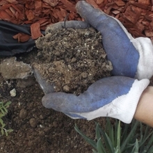 Soil in hands