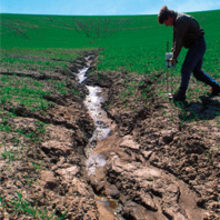 MT May 2015 ecology diseases soil erosion