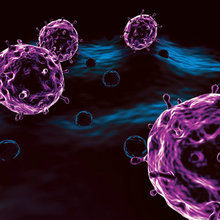 MT Feb 2013 5 Hindle virus