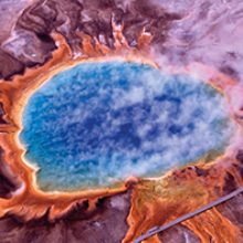 MT-Aug-17-genome-segregation-yellowstone.jpg