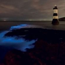 MT Nov 2014 schoolzone bioluminescence