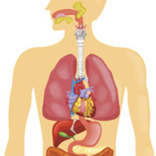 MT May 15 time of death thanatomicrobiome