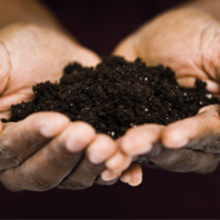 The smell of the soil | Microbiology Society