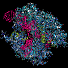 microbiologysociety.org