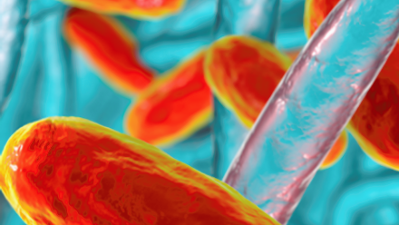 My project-1 (18).png