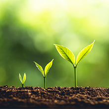 RSB plant science group 220x220.png