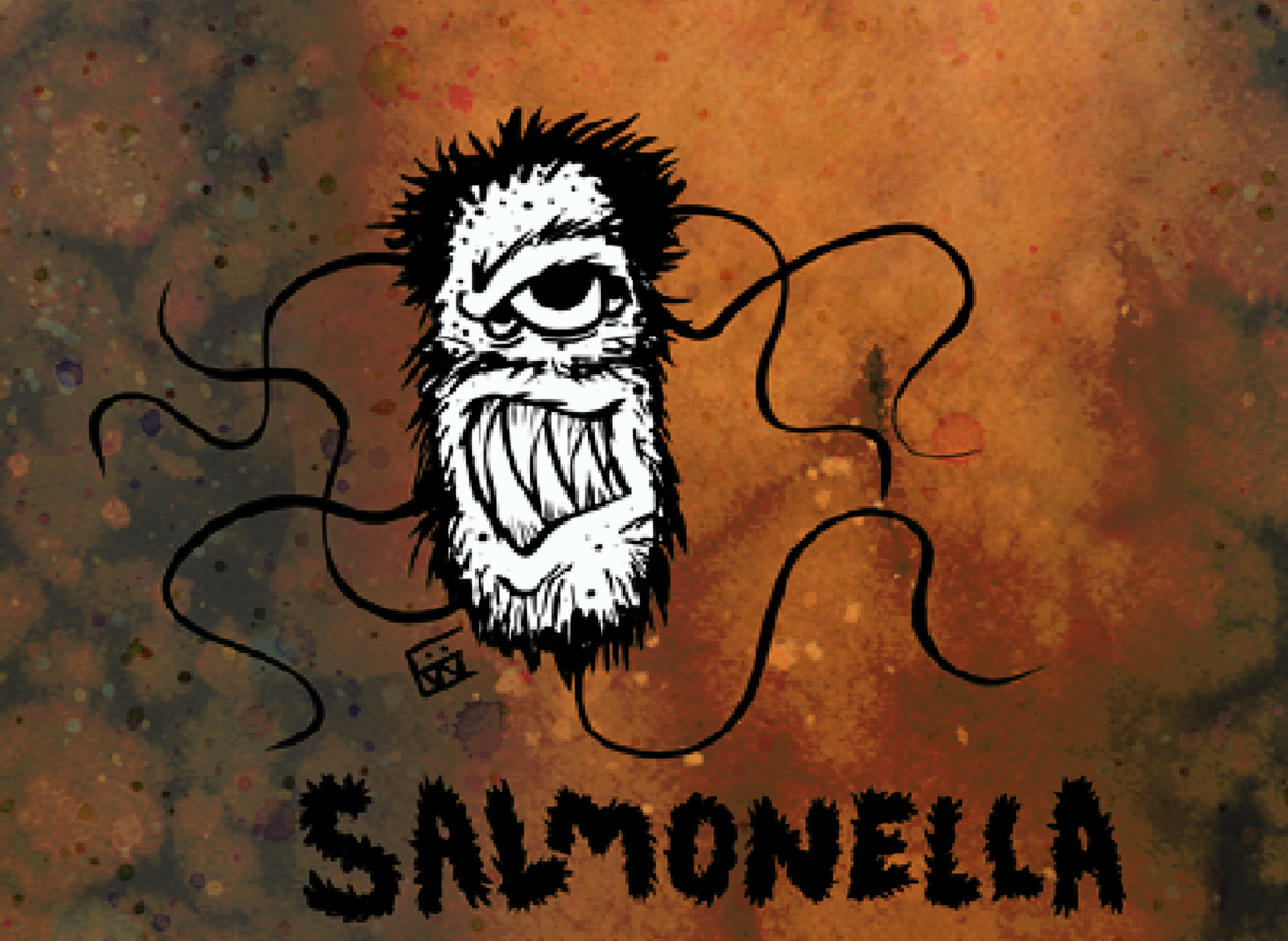 Salmonella.png