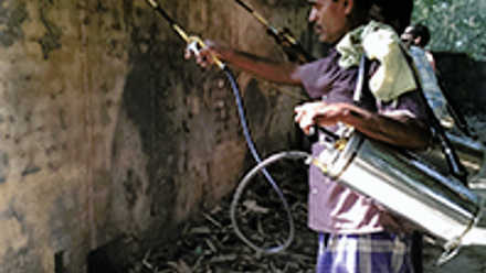 MT Feb 2017 leishmaniasis