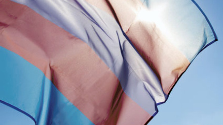 Trans-flag-425x500.jpg