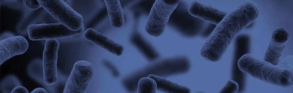 Microbiology-journal-homepage-banner-940x300px.jpg