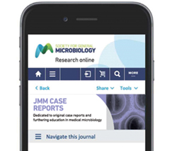 MT Aug 15 news publishing platform 2