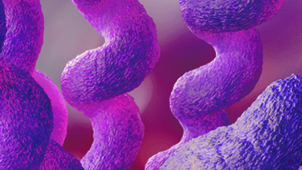 Campylobacter-jounal-collection.gif