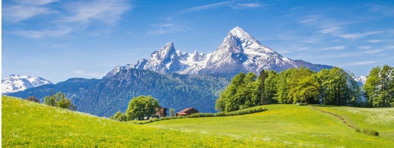 idyllic-landscape-in-the-alps-with-green-meadows-and-flowers-picture-id513820150.jpg