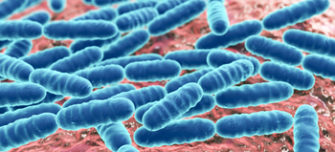 Microbes-and-food.jpg 1